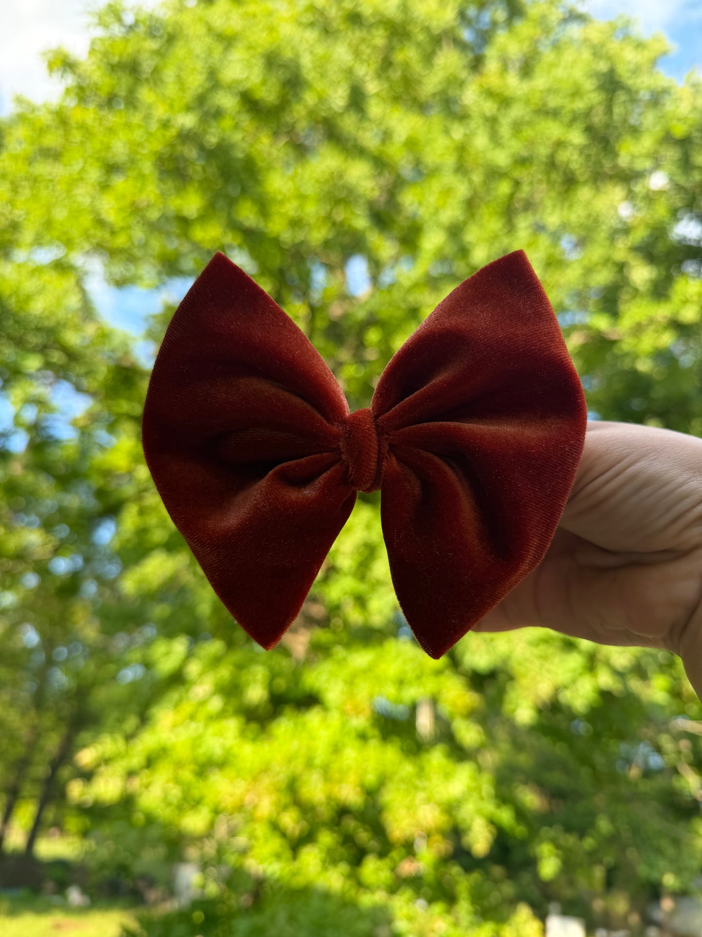 Velvet Burnt Orange