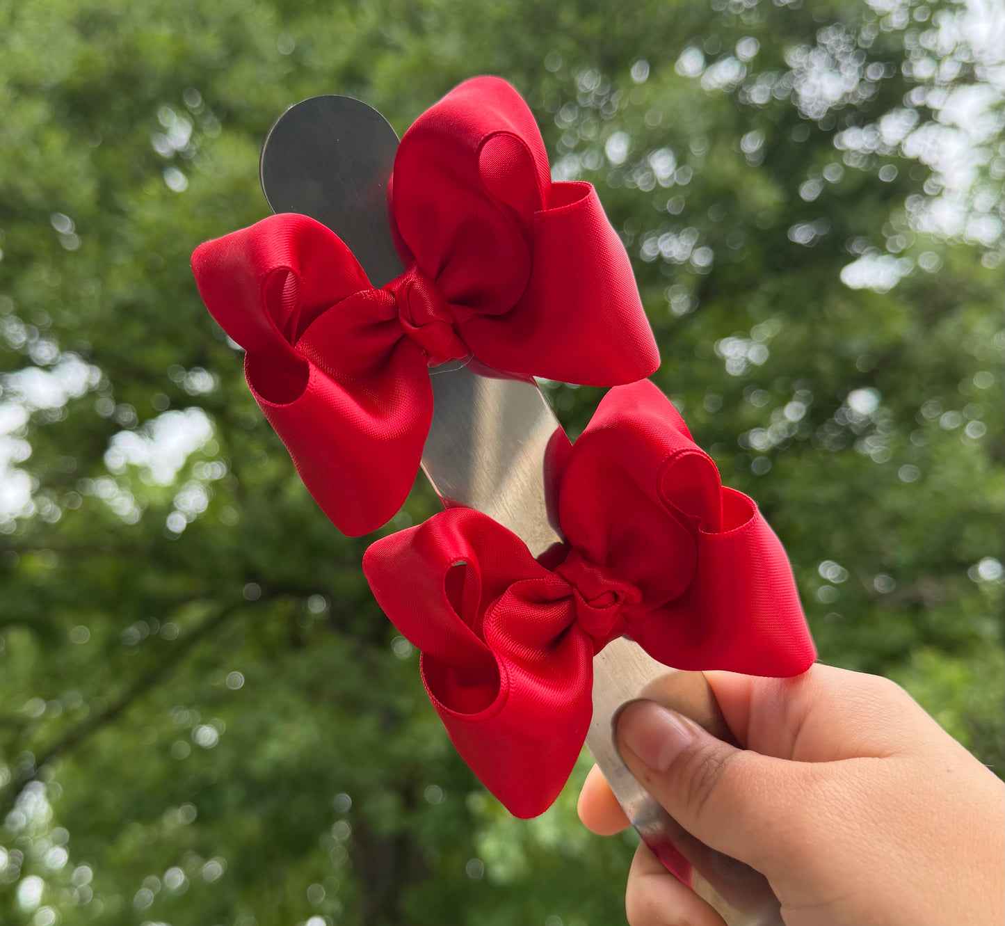 Satin Red Ribbon Piggies
